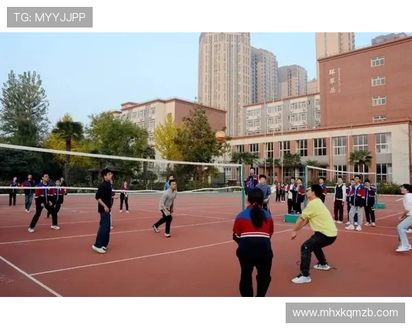 杭州排球队的精神风貌与团队意识探讨：排球运动中的团结与拼搏精神